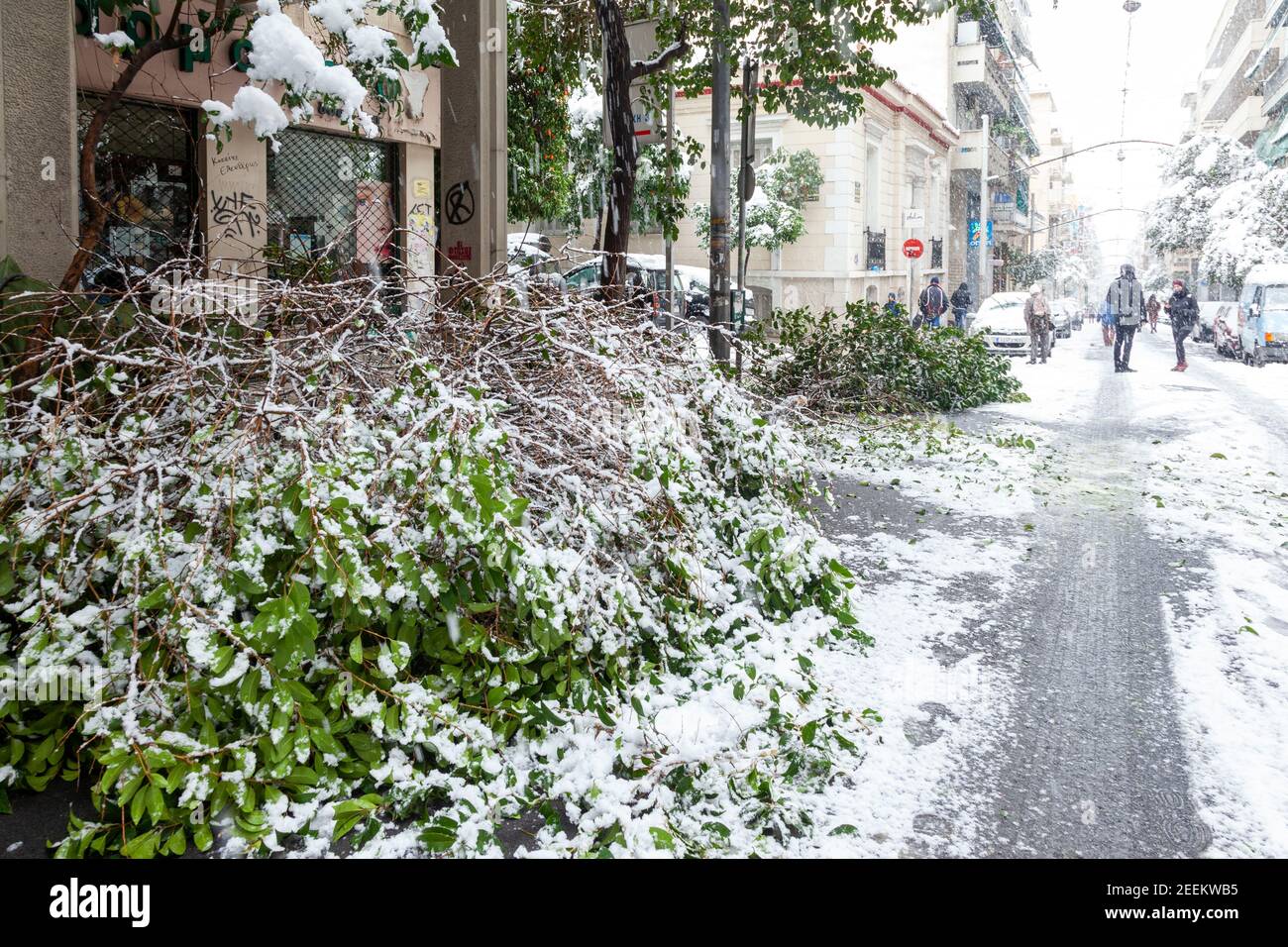Trees fallen down during a snow storm in Charilaou Trikoupi street, in downtown Athens city, capital of Greece, Europe Stock Photo