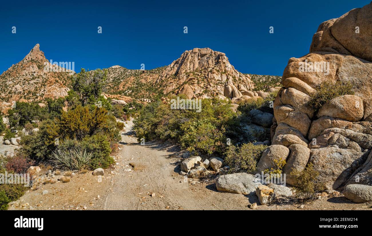 Hiking trail to Giant Ledge Mine, Caruthers Canyon, New York Mountains, Mojave National Preserve, California, USA Stock Photo