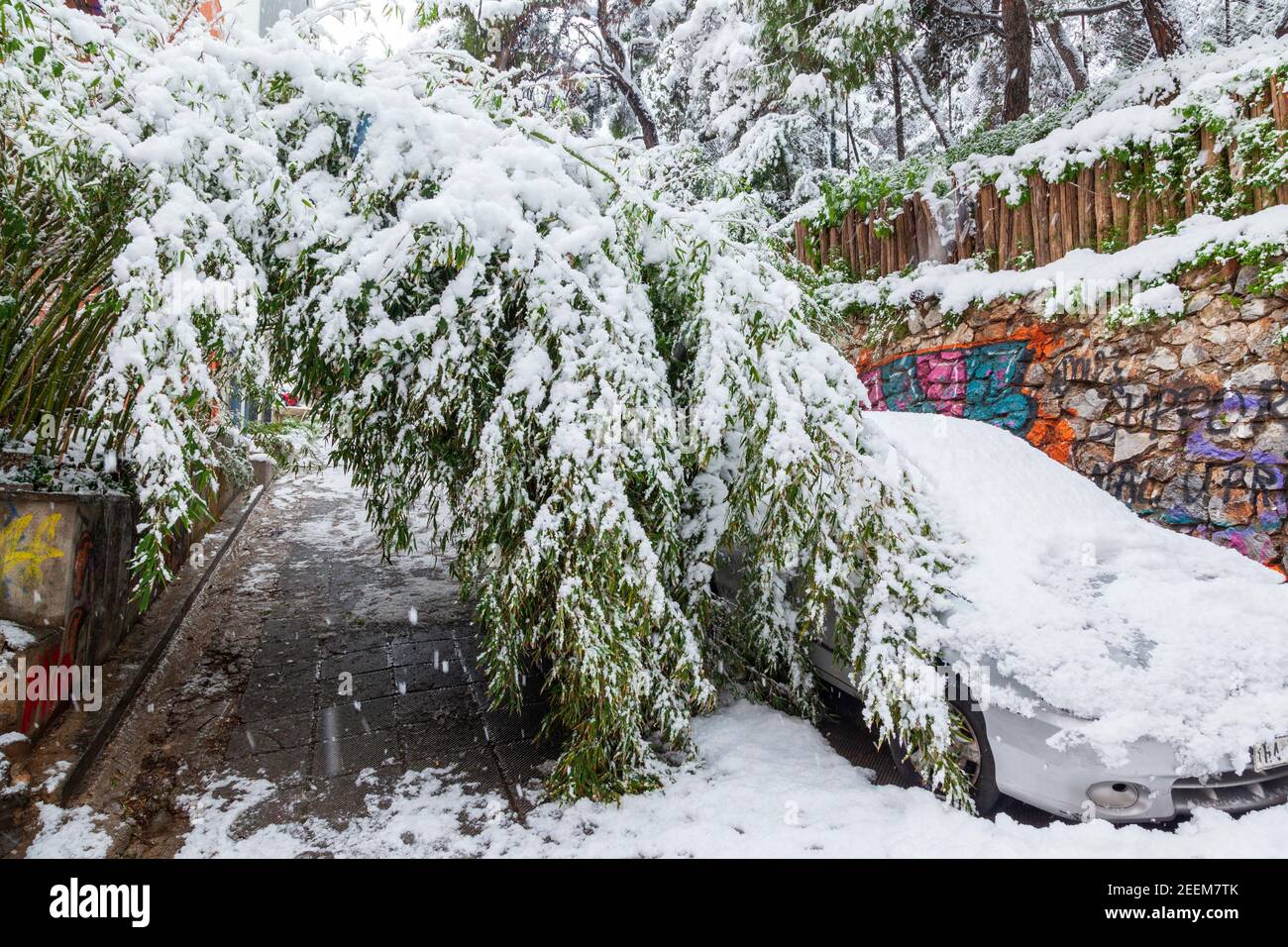 Car totally covered with snow in Eksarchia district, during snow storm in Athens city, capital of Greece, Europe Stock Photo