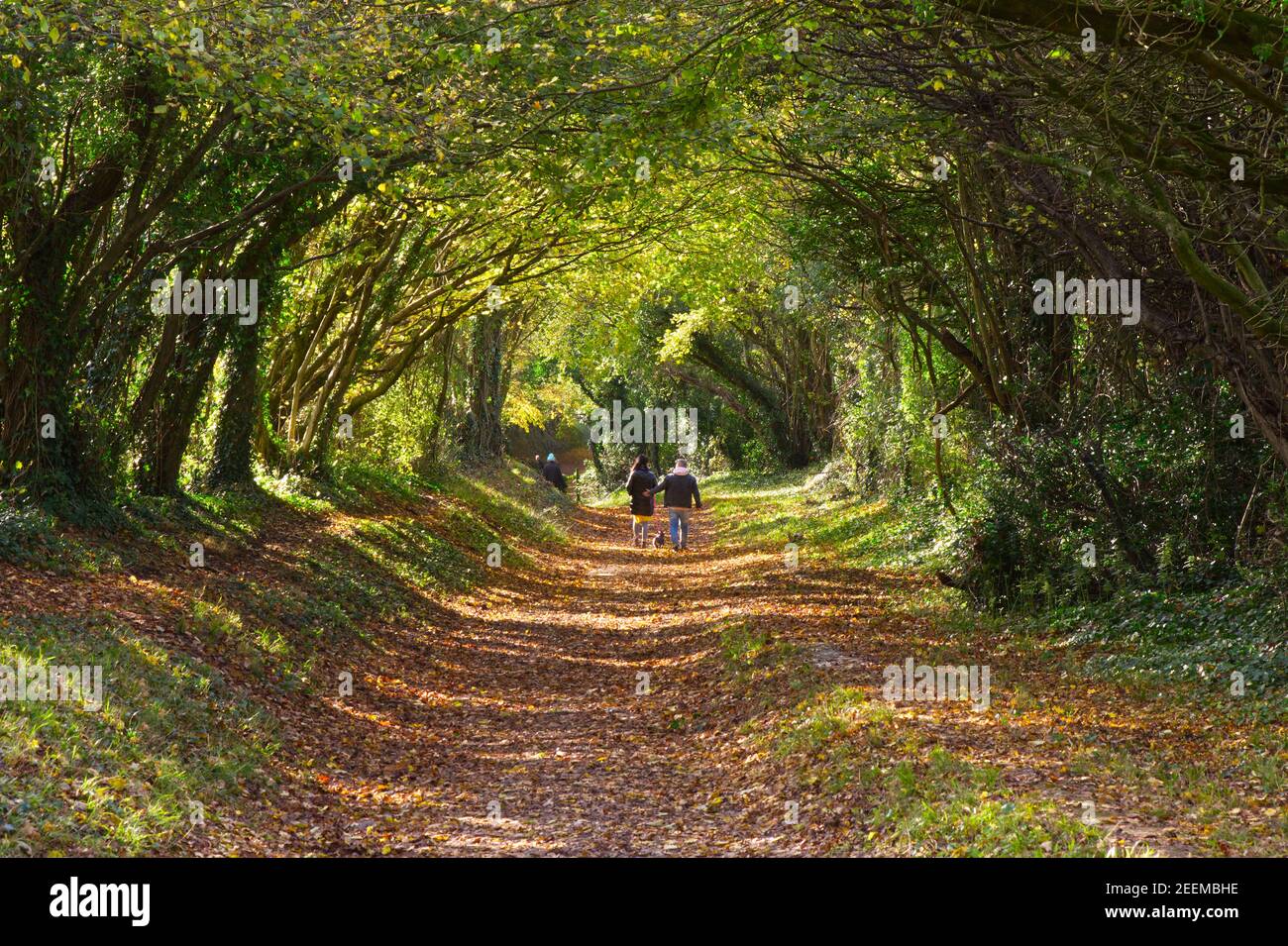 People walking along sunken footpath under trees at Halnaker, near Chichester, West Sussex, England. Autumn with tree colours. Stock Photo
