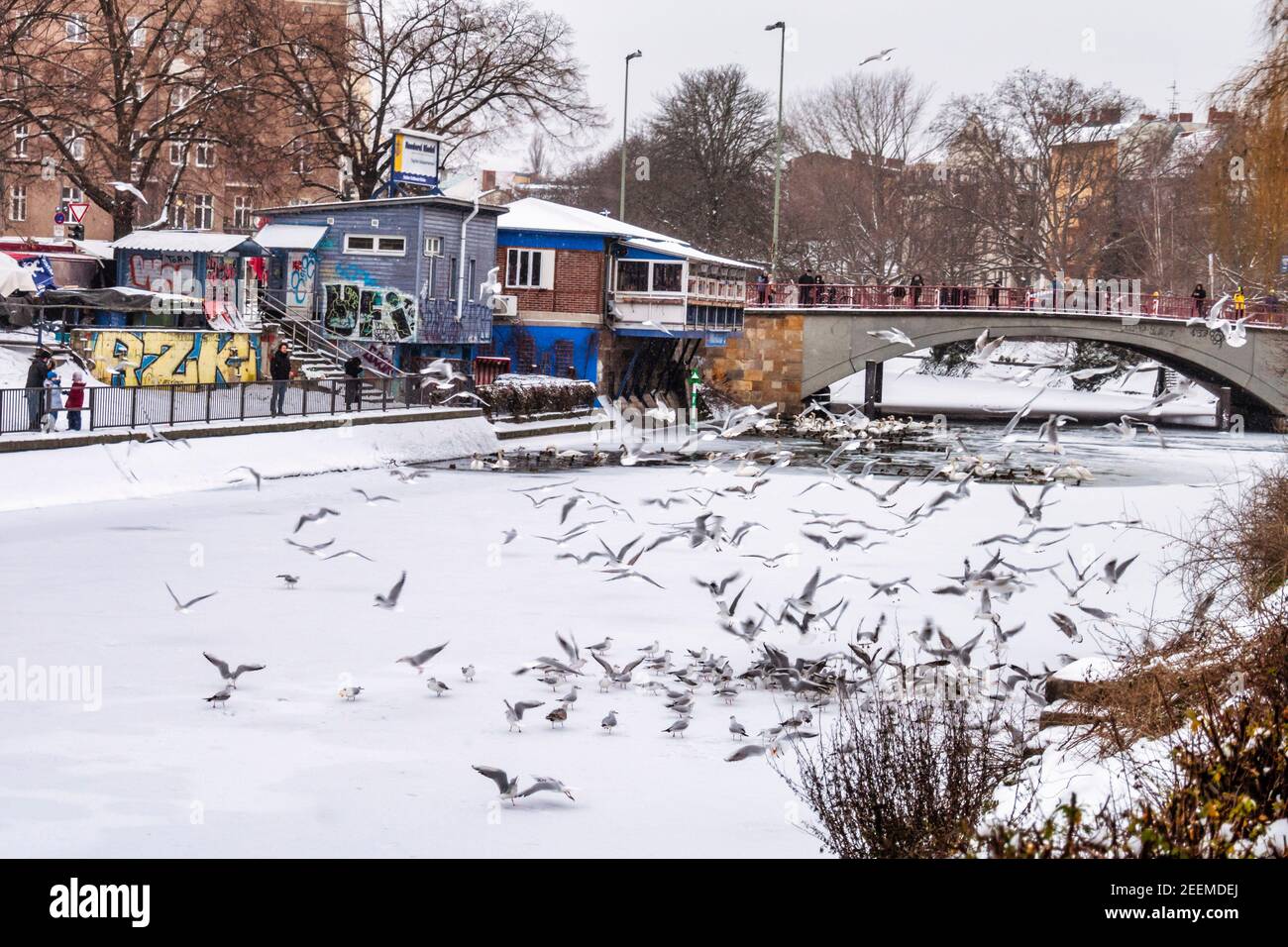 Landwehrkanal im Winter, Wintereinbruch im Februar 2021,  Vögel auf dünner Eisschicht , Berlin Stock Photo