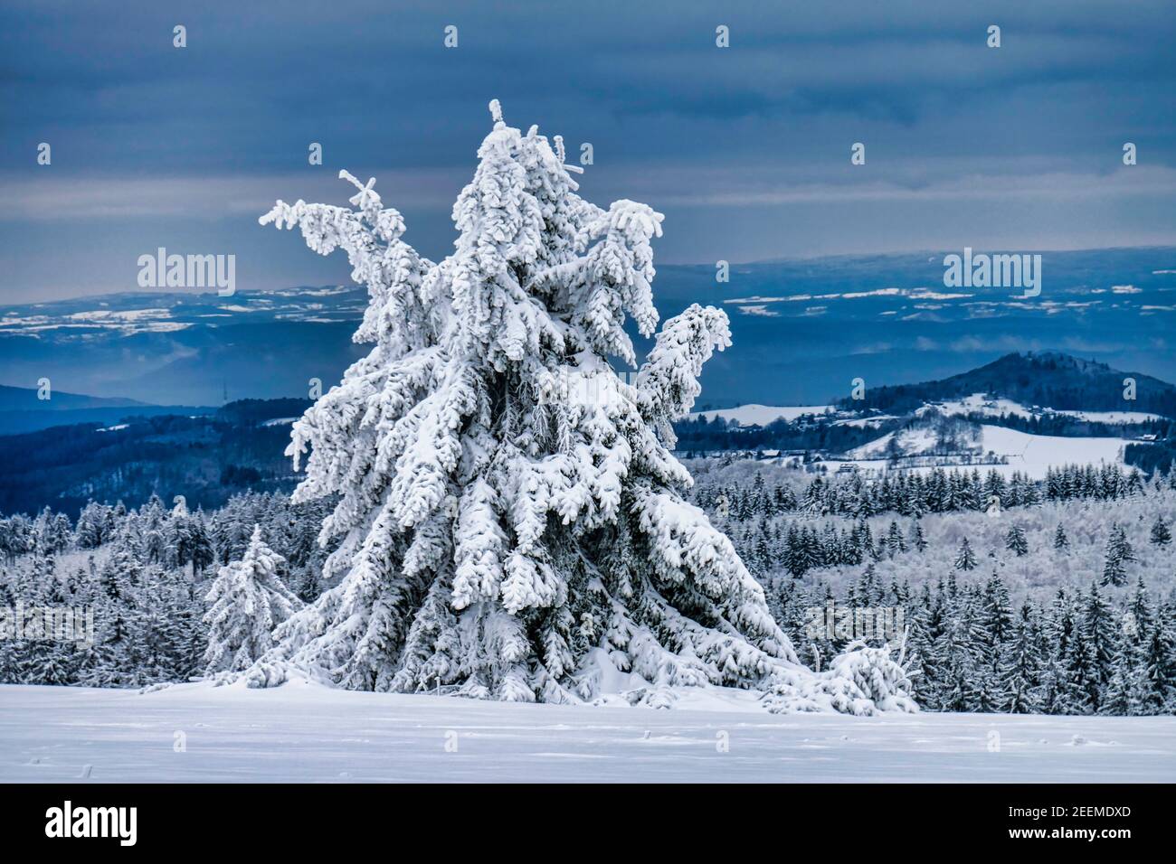 Winterlandschaft in der Rhoen, Schnee, Winter, Naturpark, Baum, Stock Photo
