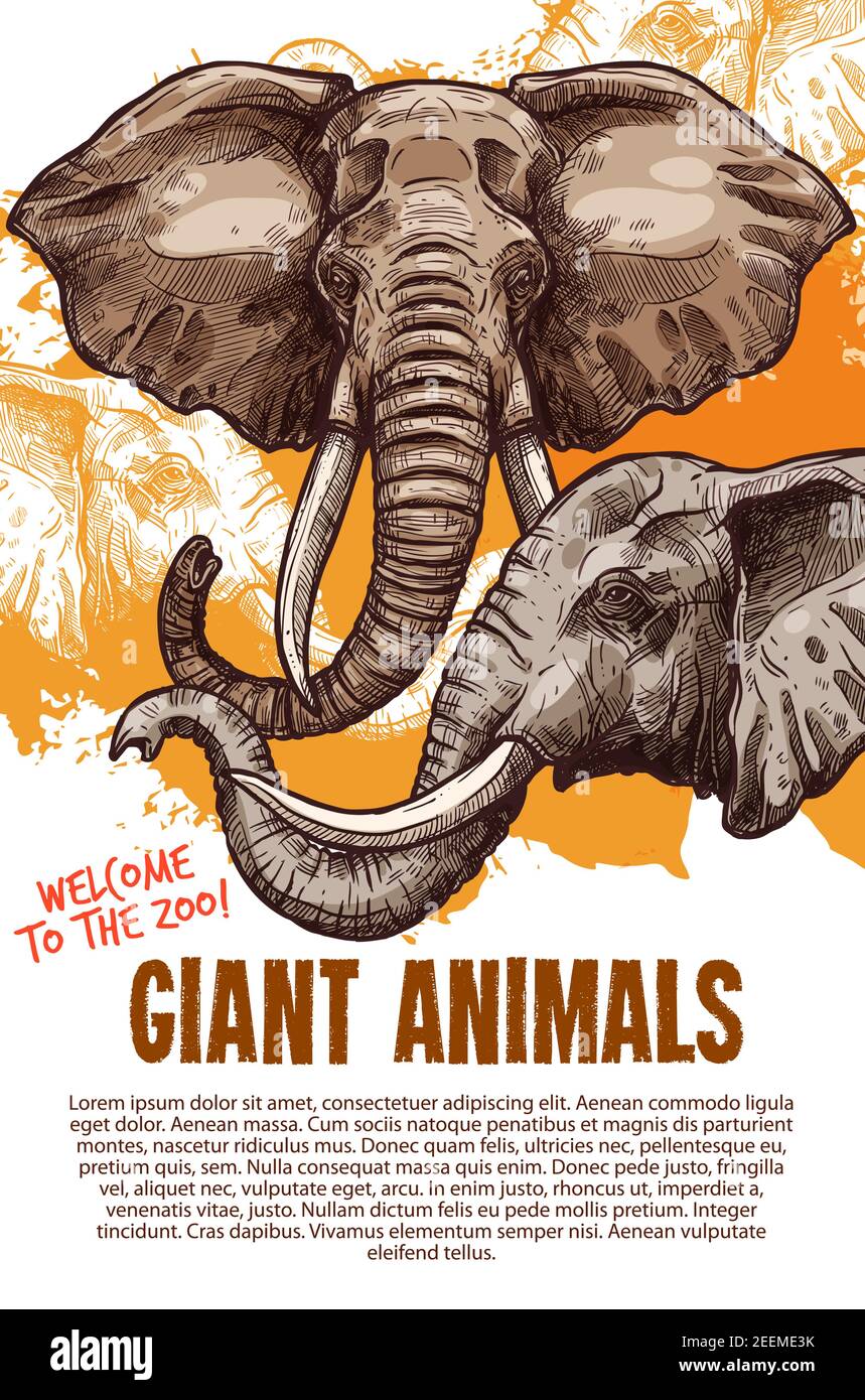 Elephants zoo show Stock Vector Images Alamy