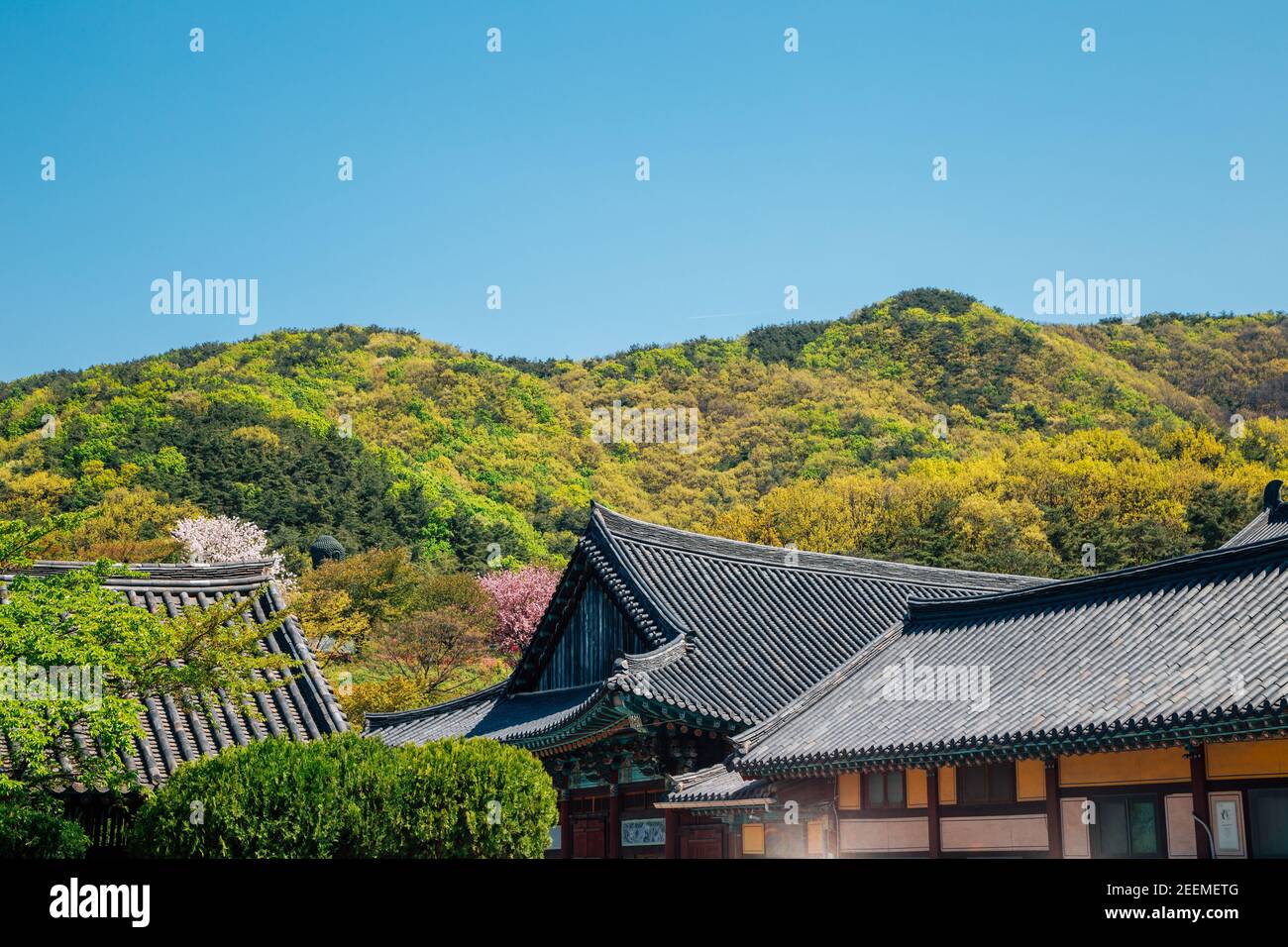 Gakwonsa Temple and mountain in Cheonan, Korea Stock Photo - Alamy