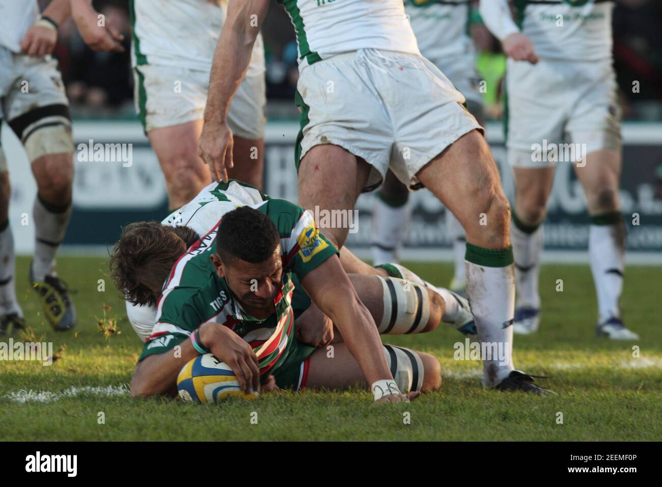 Rugby union aviva premiership leicester tigers northampton saints
