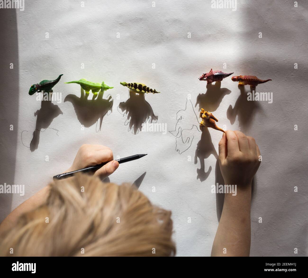 toddler draws with pencil contrasting shadows from toy little dinosaurs standing in a row. drawing of child, creative ideas for children's creativity. Stock Photo
