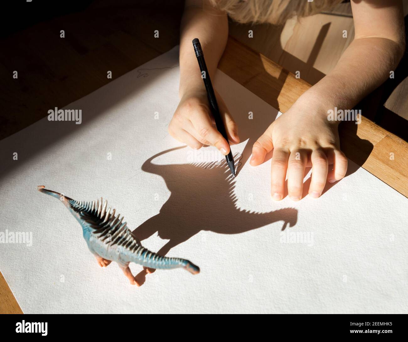child enthusiastically outlines the shadow from the figure of a toy dinosaur. Development of fine motor skills. children's fun. Ideas for creativity a Stock Photo