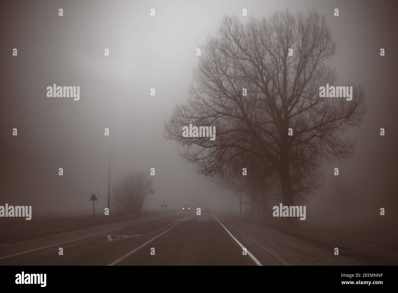 thick impenetrable fog in the morning in a winter evening on the road ...