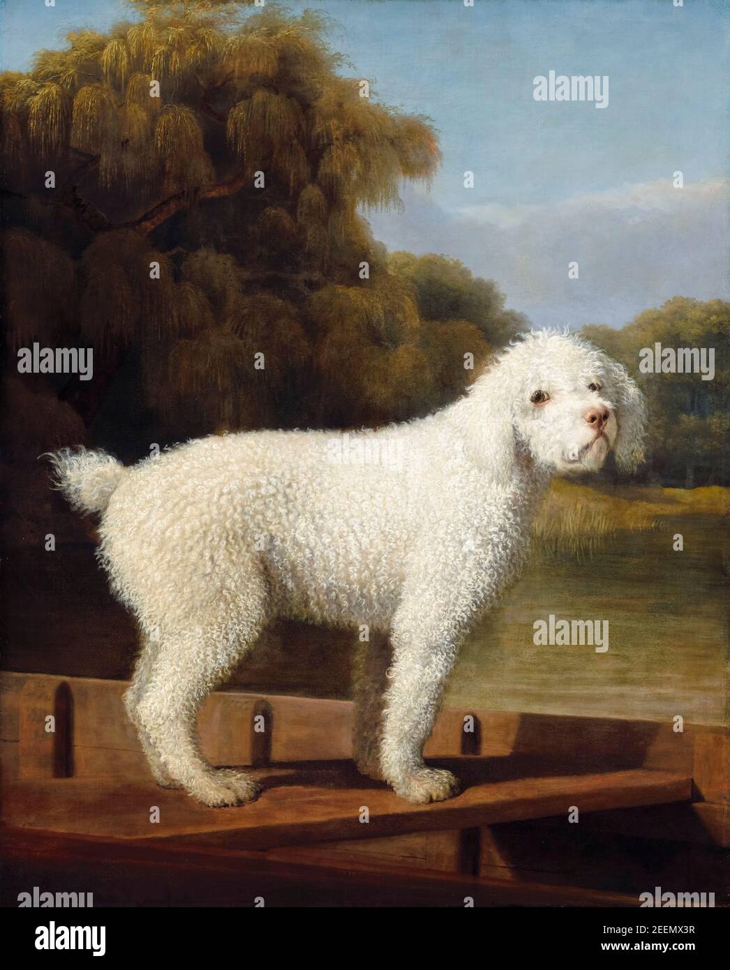 White Poodle in a Punt, painting by George Stubbs, 1780 Stock Photo