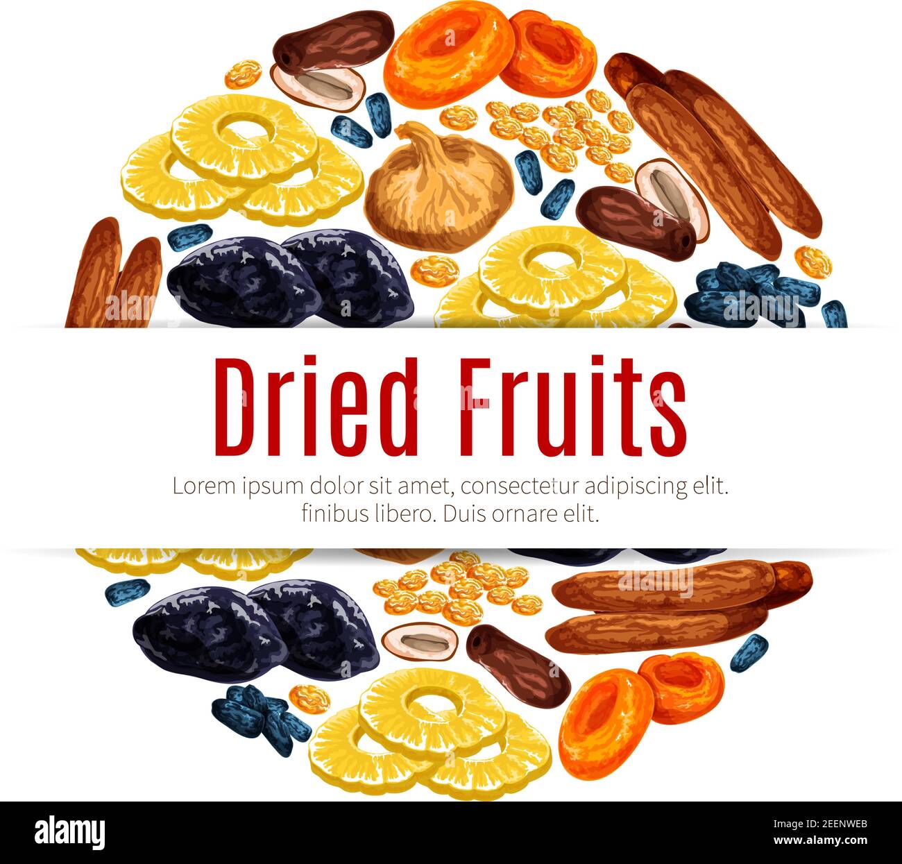 Prune fruit Stock Vector Images Alamy