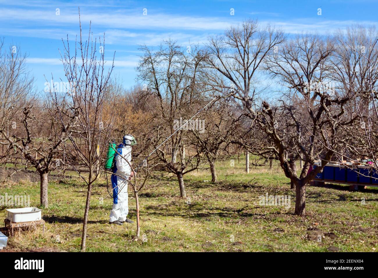 Farmer In Protective Clothing And Gas Mask Sprays Of Fruit Trees In 