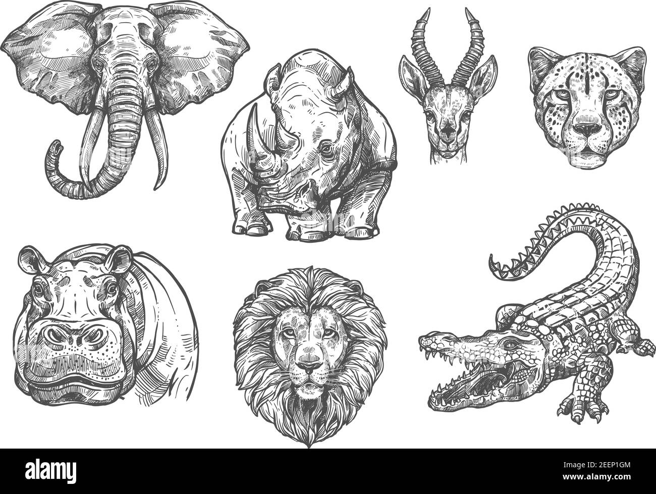 Wild African animals sketch icons. Vector isolated set of elephant, hippopotamus or rhinoceros, lion or alligator crocodile and tiger cheetah for safa Stock Vector