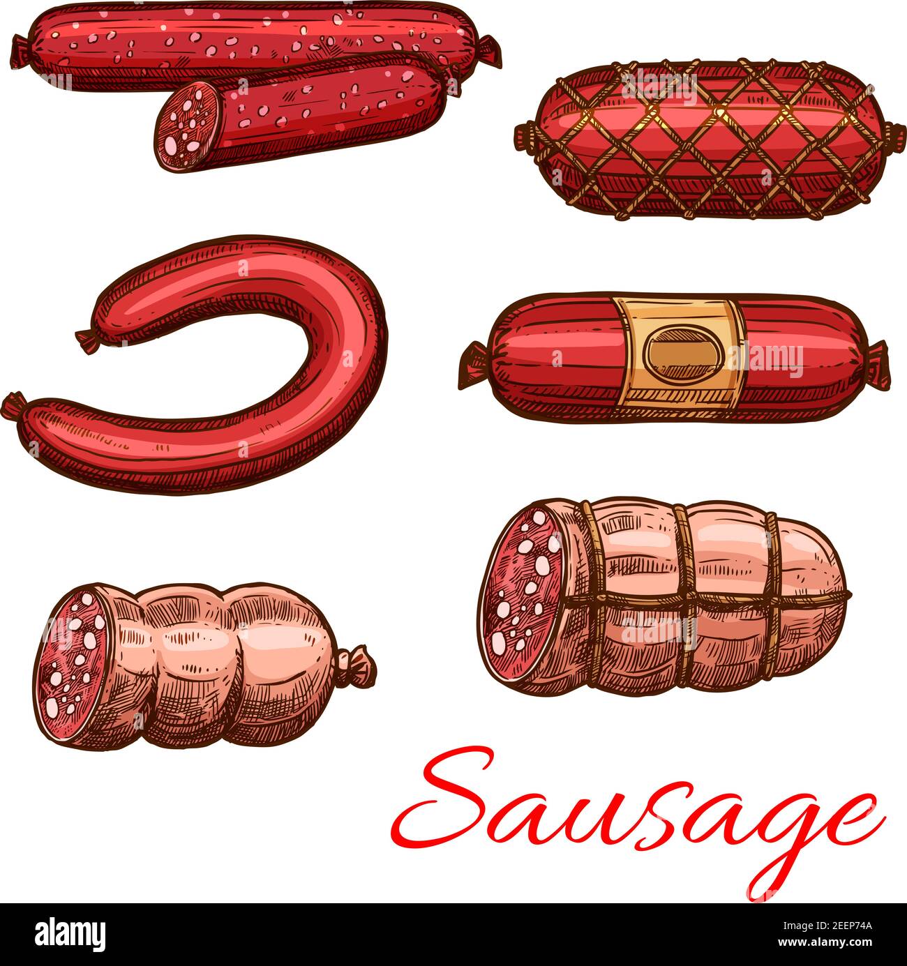 Sausage sketch set of beef and pork meat product. Salami, barbecue