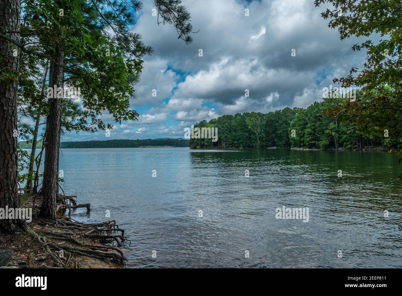 View of Lake Lanier, Georgia from the shoreline with trees alongside with exposed roots and the boat ramp across in the woodlands and the mountains in Stock Photo