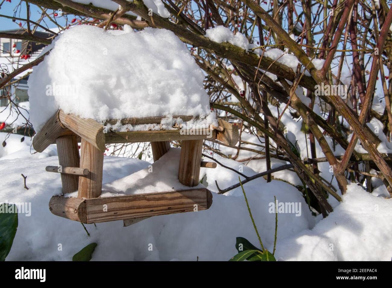 A wooden bird feeder covered in snow. This is where the birds are fed in winter. Stock Photo