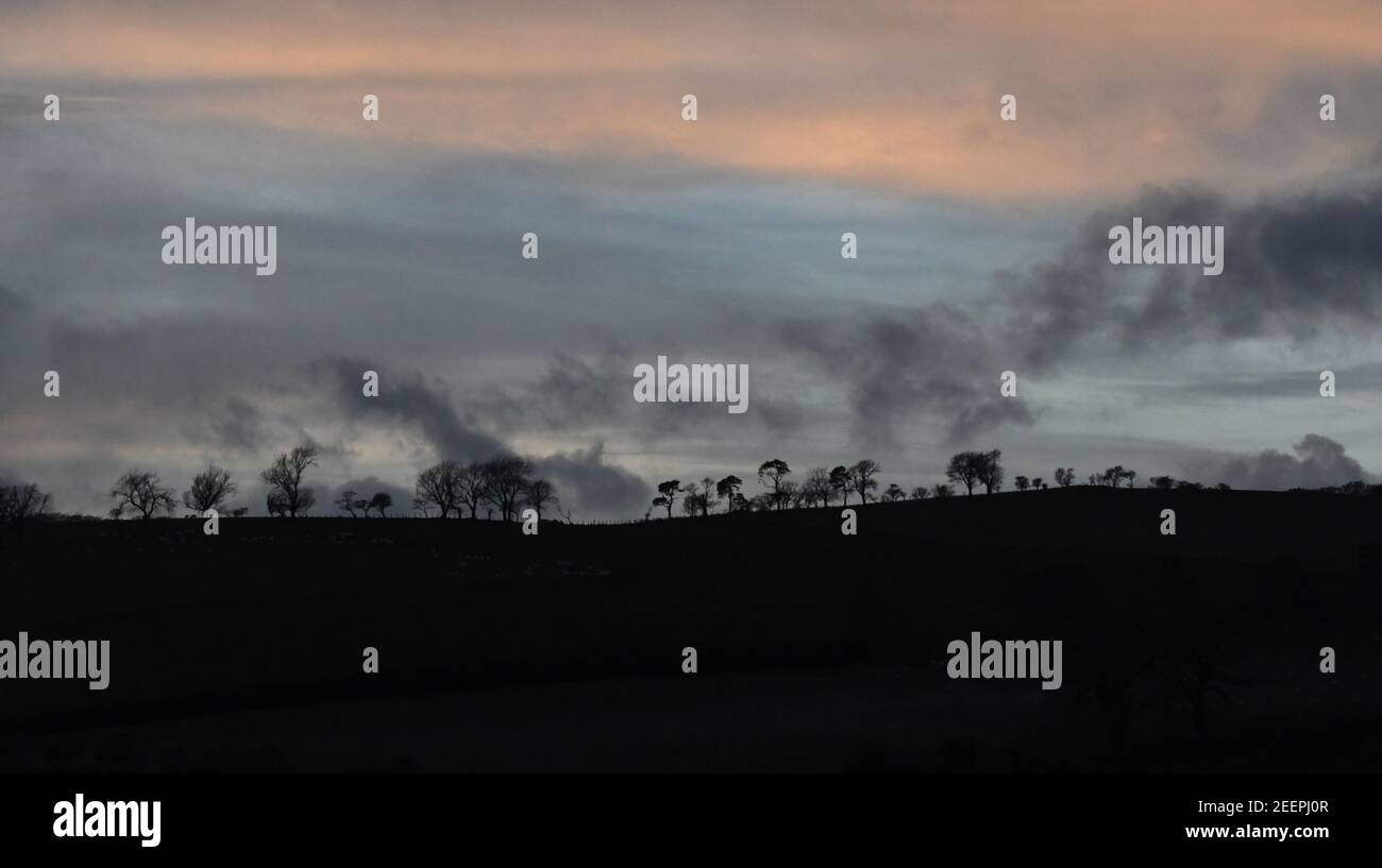 Trees sit on a hill at dusk in the Scottish Countryside, October 2020. Stock Photo