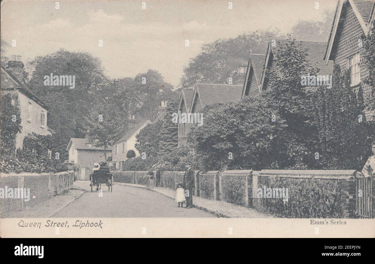 Vintage Early 20th Century Postcard Showing Queen Street, Liphook, Hampshire, England. Stock Photo