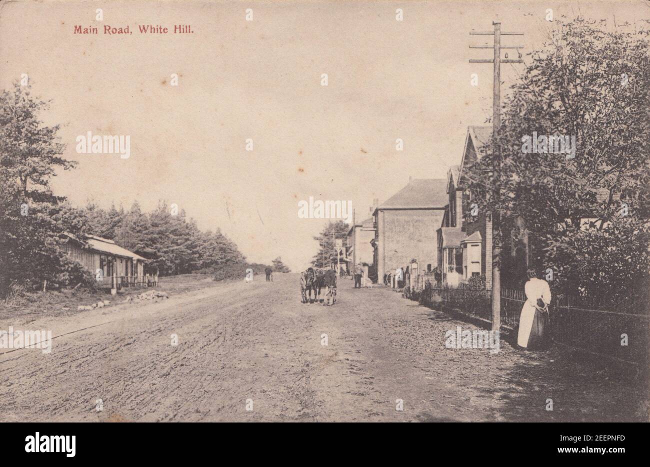 Vintage postcard Showing The Main Road, Whitehill, Hampshire, England. Police Station Visible on The Left. Stock Photo