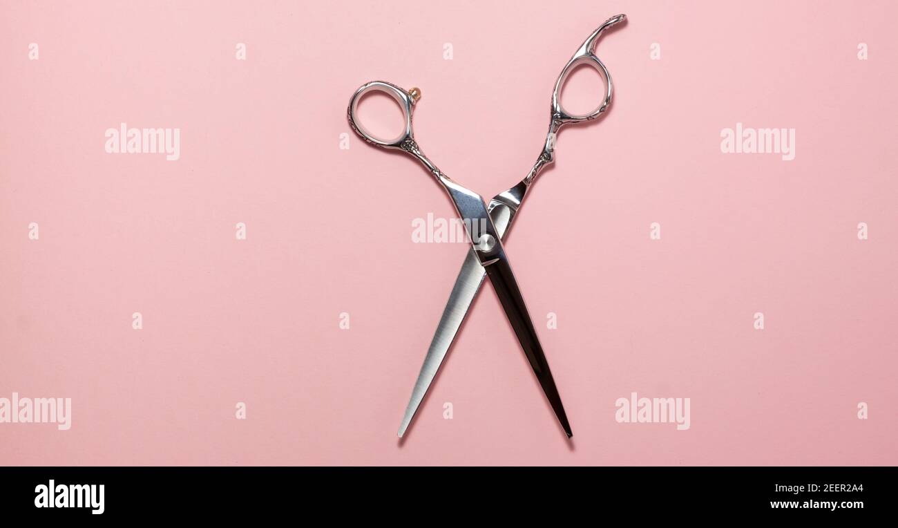 Flat lay of professional hair cutting shears in the centre of the frame on bright pink background. Hairdresser salon equipment concept with copy space Stock Photo