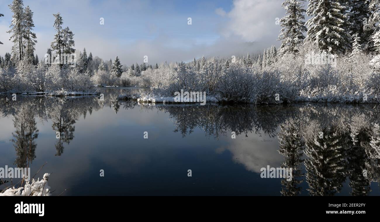 Wetland ponds near the Yaak River after a snowstorm. Yaak Valley, northwest Montana. (Photo by Randy Beacham) Stock Photo