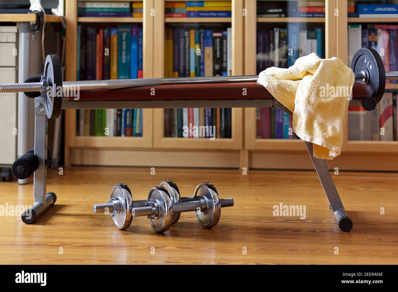 Covid fitness: iron dumbbells beneath a weight bench with a long barbell and a towel in home office. Stock Photo