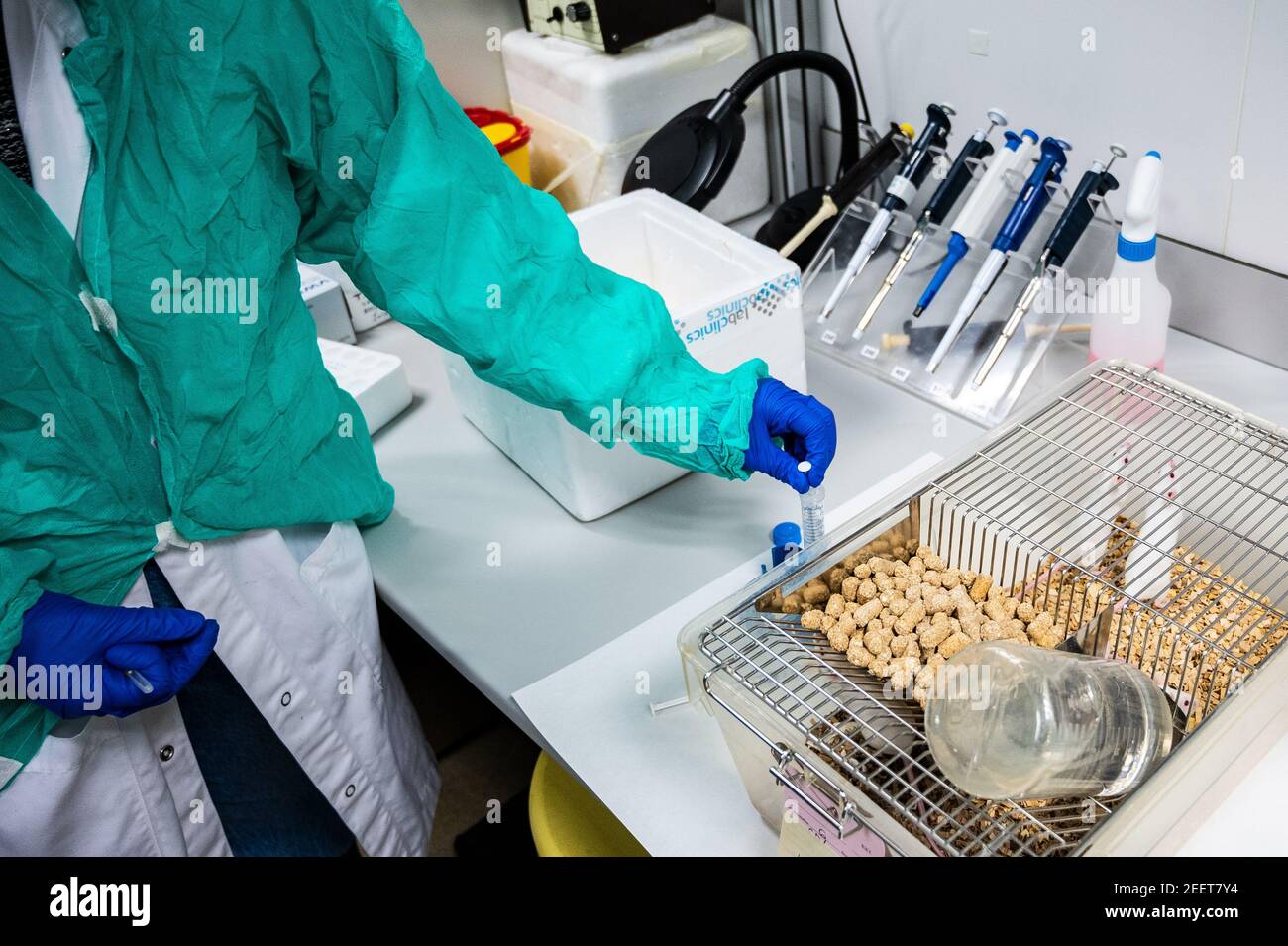 Intraperitoneal hi-res stock photography and images - Alamy