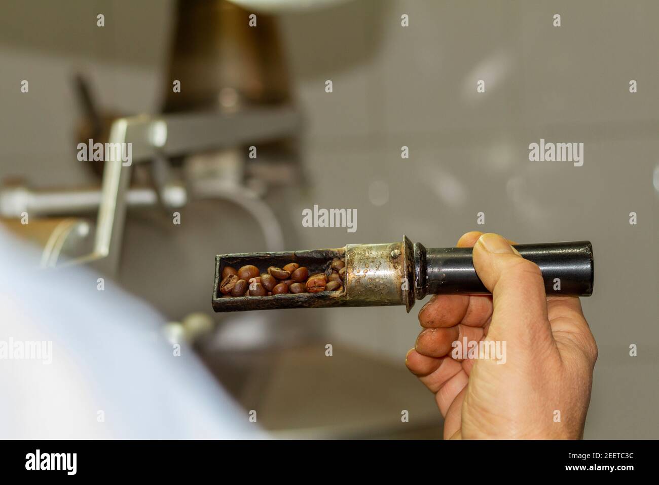 An operator checks the roast of the Robusta variety coffee in a natural