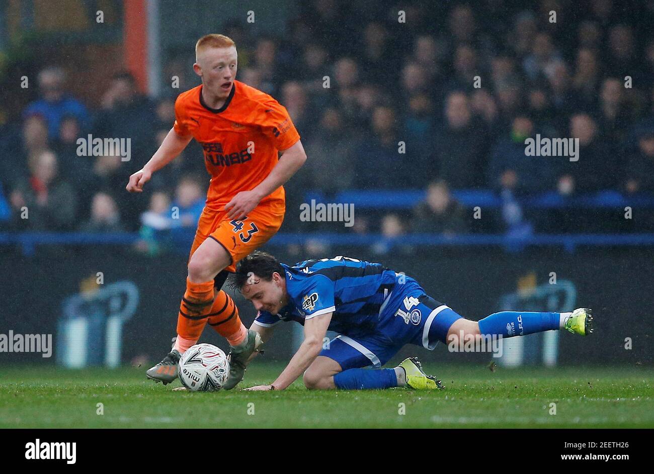 Oliver longstaff hi-res stock photography and images - Alamy