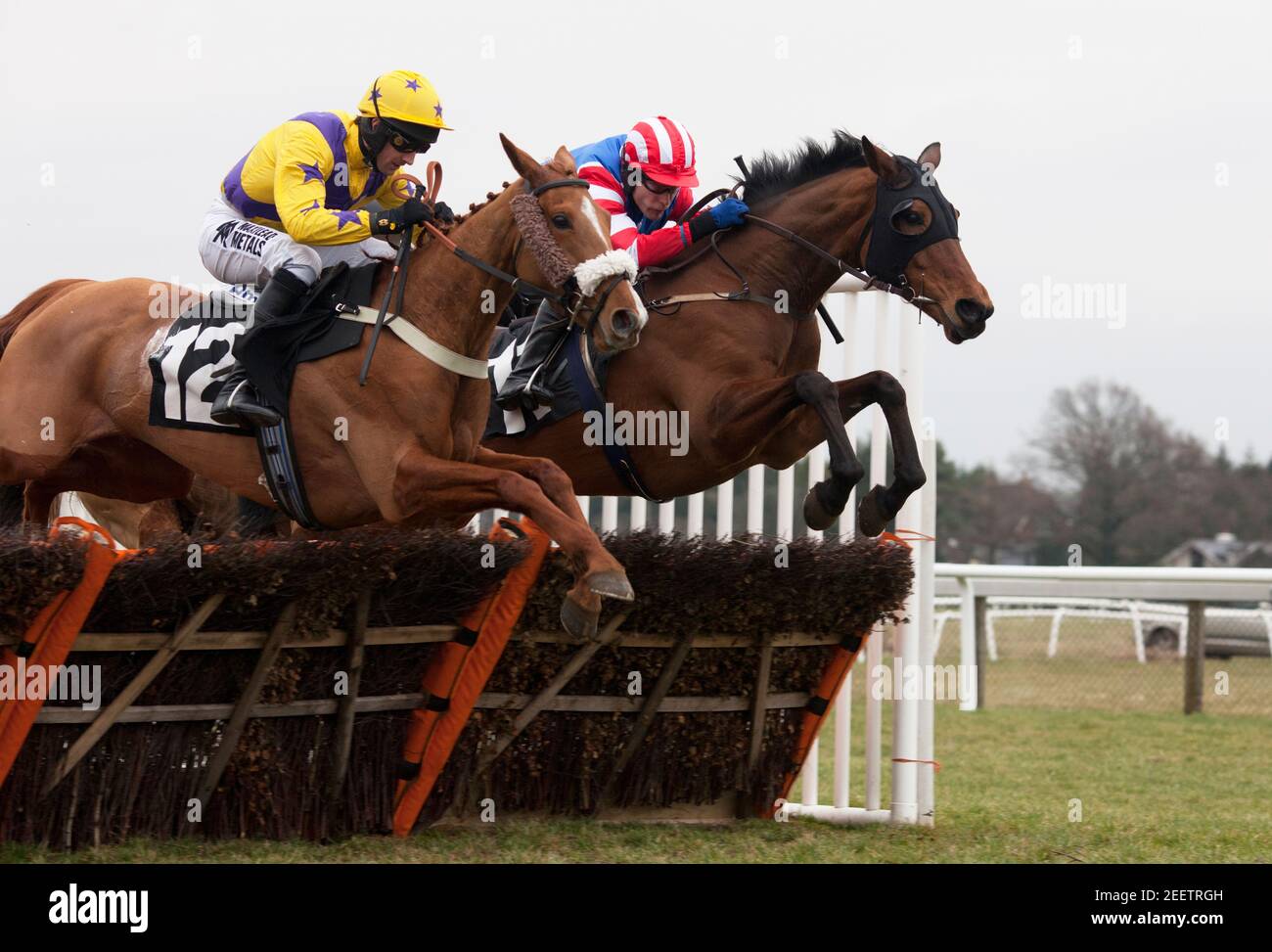 Plumpton Racecourse High Resolution Stock Photography And Images Alamy
