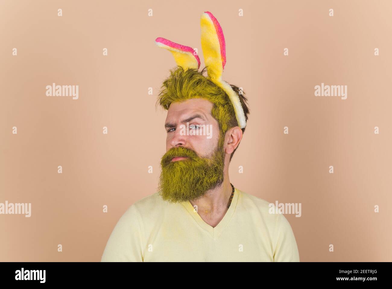 Easter man. Bearded male with bunny ears. Serious guy with yellow dyed hair and beard. Stock Photo