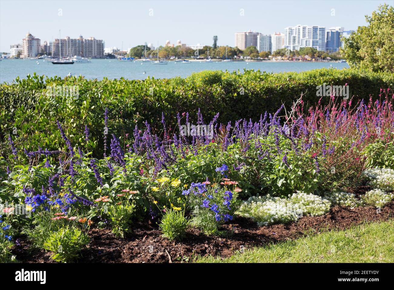 Sarasota florida garden hires stock photography and images Alamy