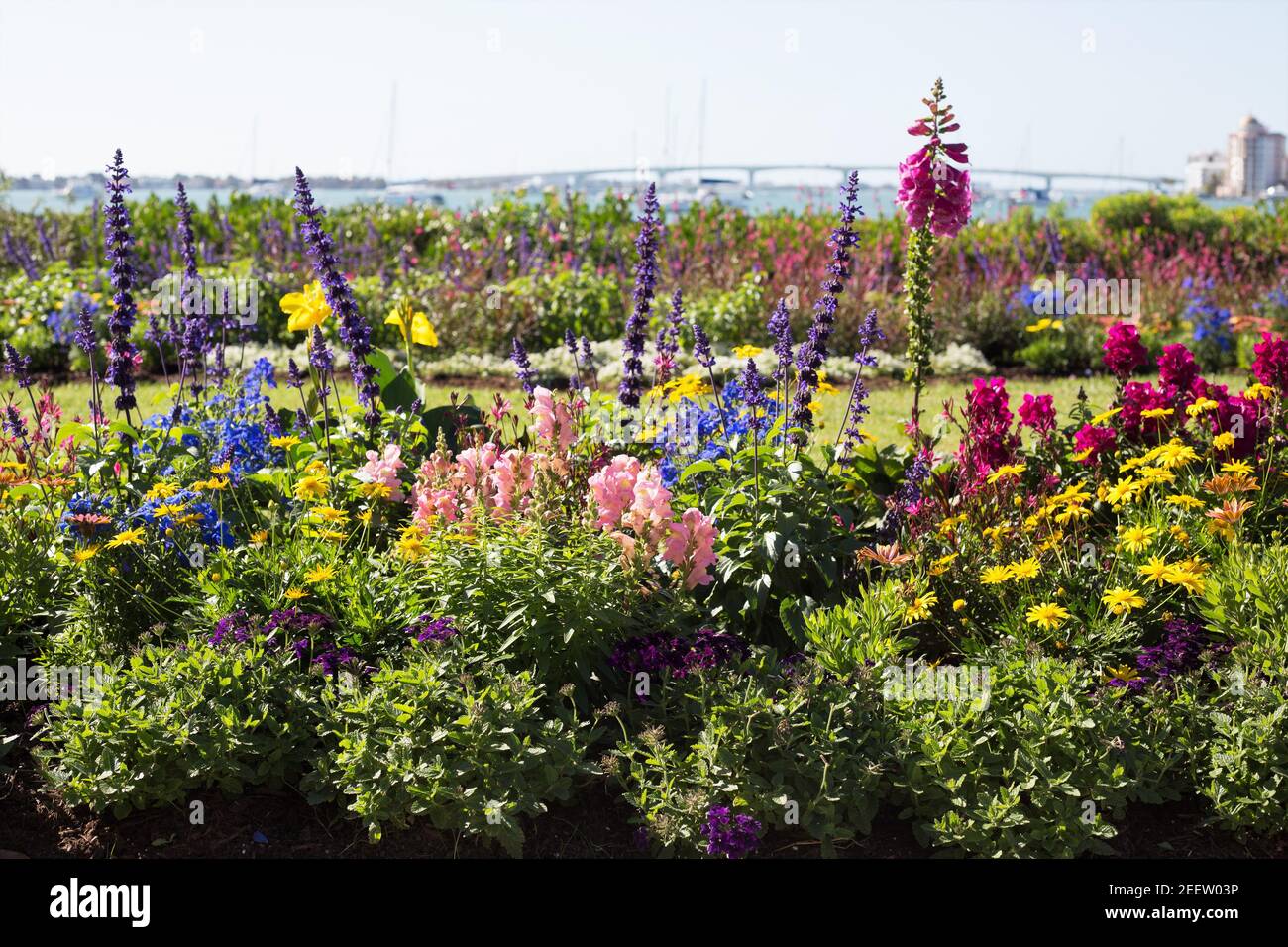 Sarasota florida garden hires stock photography and images Alamy