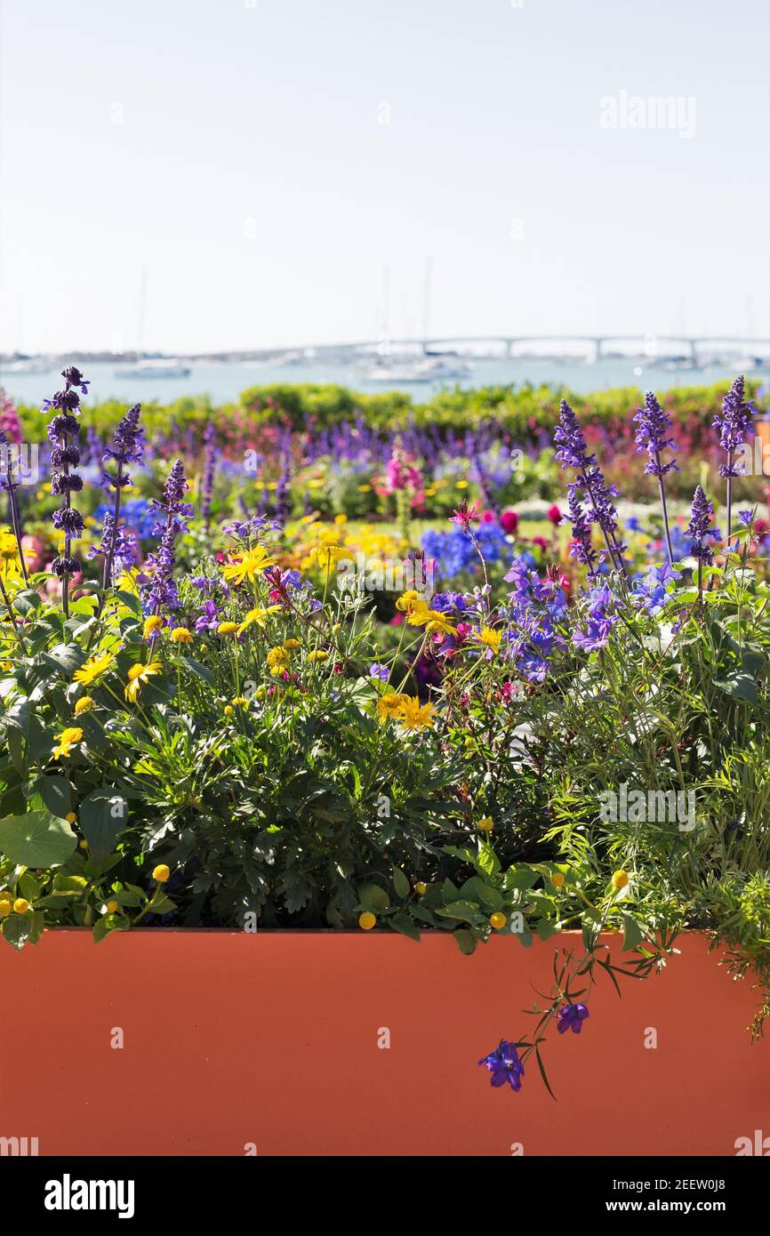 Sarasota florida garden hires stock photography and images Alamy