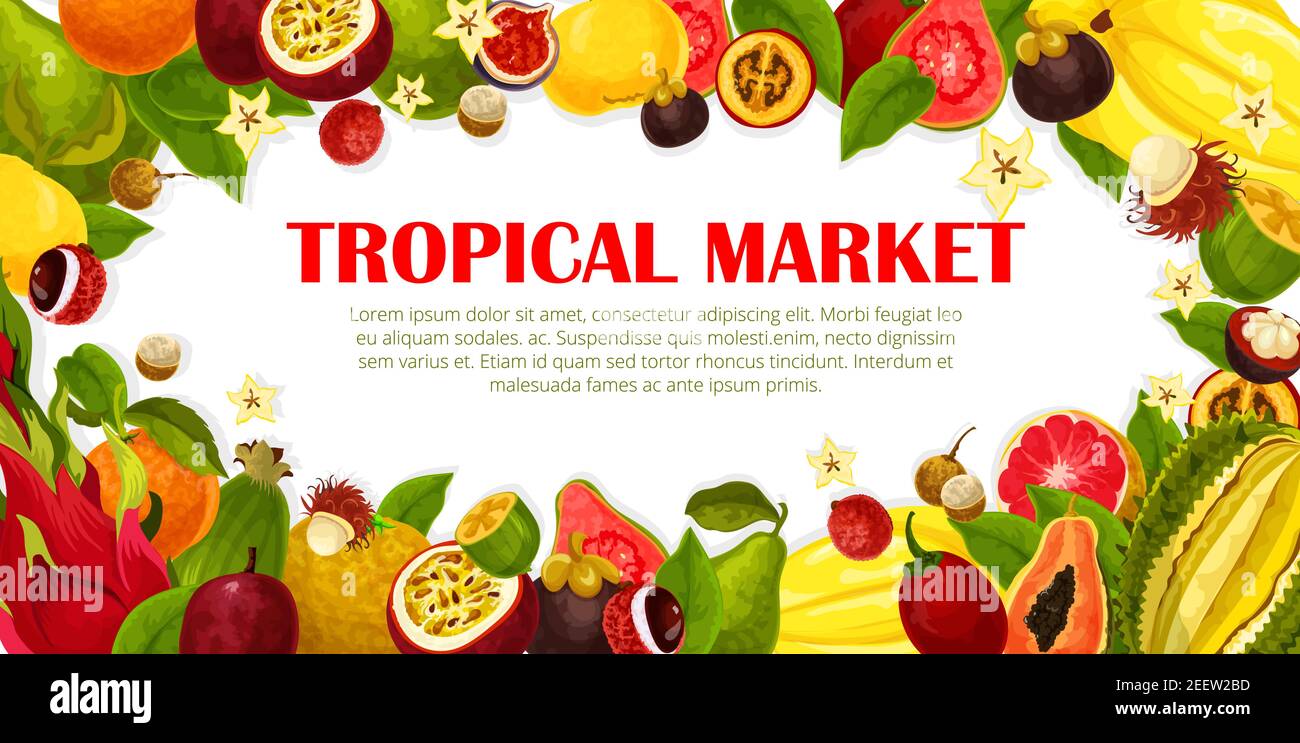 Exotic fruits poster for tropical farm market. Vector design carambola ...