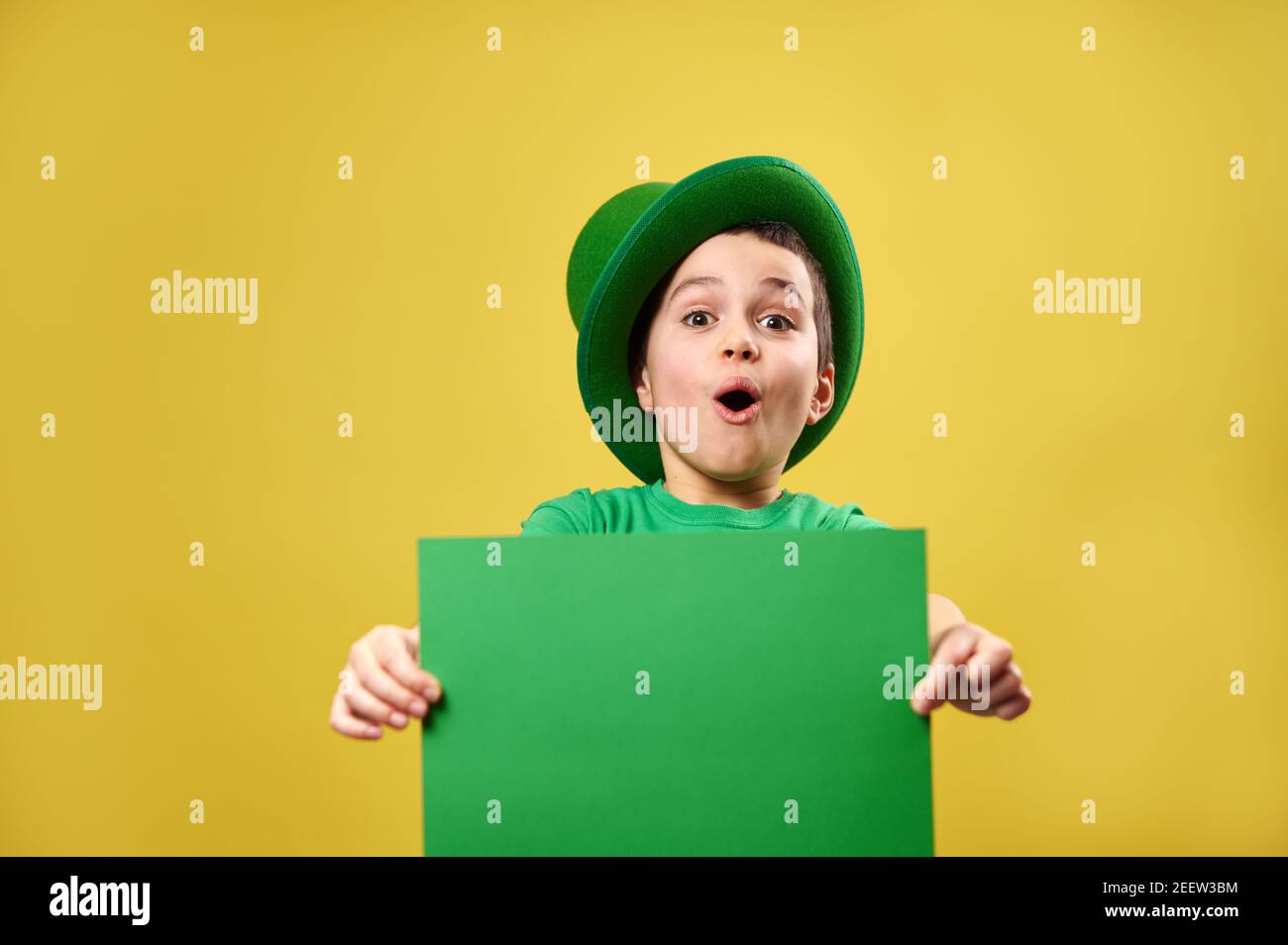 green Irish leprechaun hat poses wit 