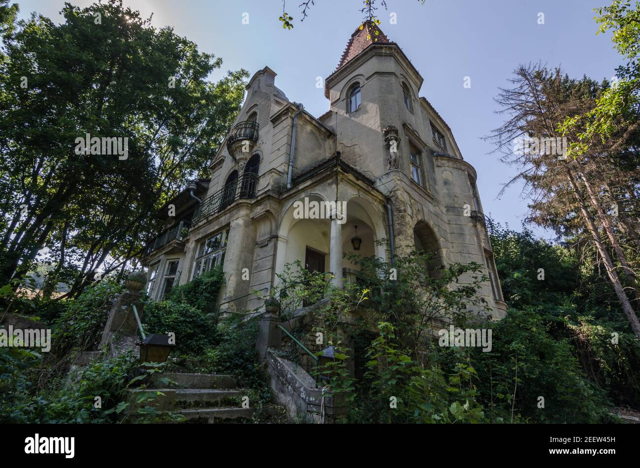 overgrown old mansion in forest Stock Photo Alamy