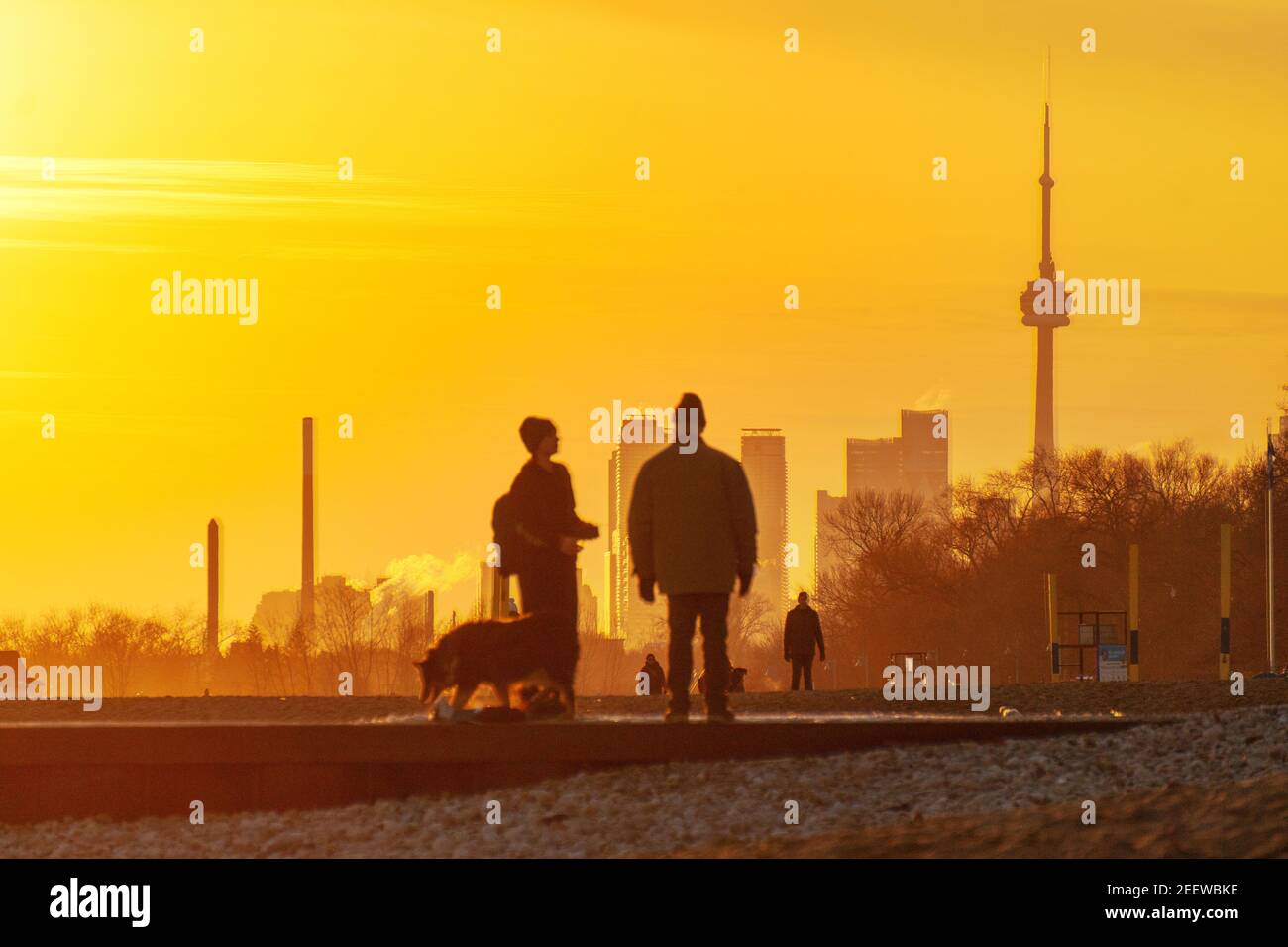 People and dog on waterfront boardwalk in The Beaches area with CN Tower in background at sunset. People take walks during the covid-19 lockdown Stock Photo