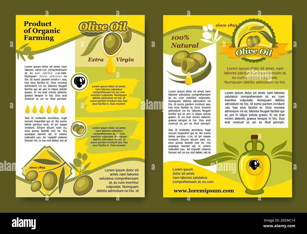 Olive oil posters or brochure with green or black olives design for far