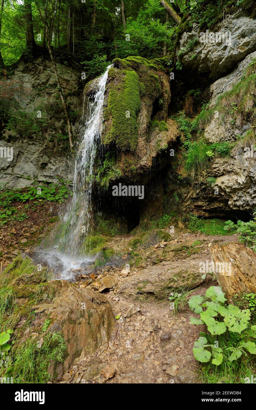 Small waterfall in the forest in Wutach Gorge, Germany Stock Photo - Alamy