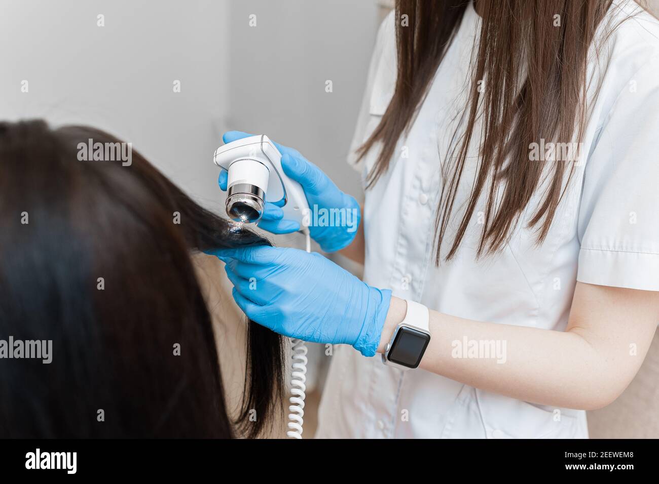 Trichoscopy of female long hair. Examination of the scalp Stock Photo