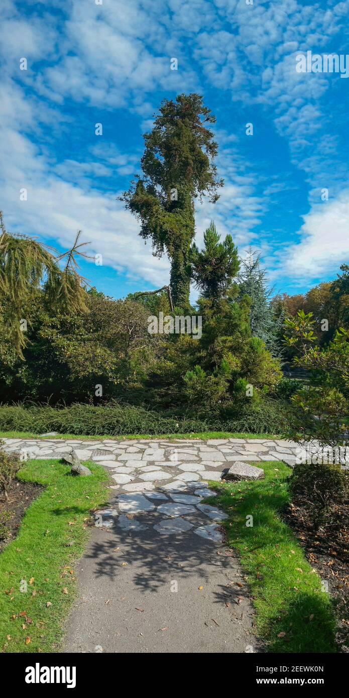 High Tree Bush Tree stream valley high hi-res stock photography and images - Alamy