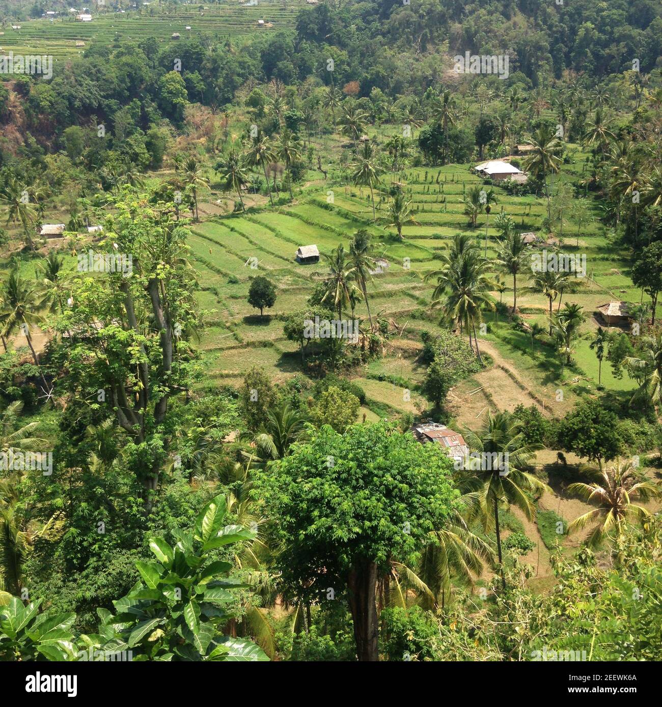balinese vista Stock Photo