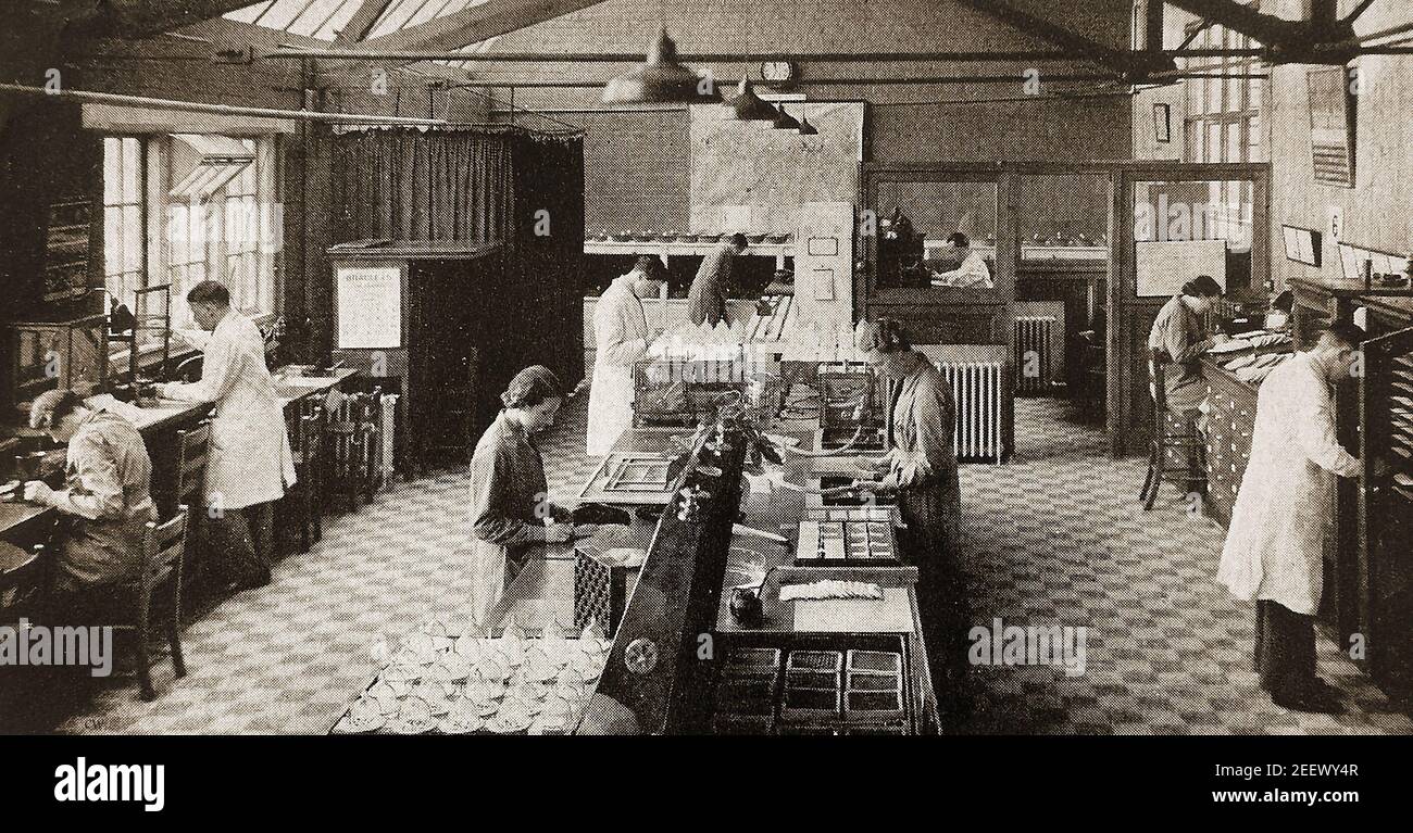 An old press photograph of the Sutton & Sons seed testing laboratory, UK.  Based in the English town of Paignton, the company supplies its seeds, bulbs, and other horticultural products to a worldwide market. by John Sutton  (1777-1863) originally   began trading in 1806 in the Berkshire town of Reading. Originally the company traded as corn merchants and were known as the 'House of Sutton'. Suttons established their own laboratory to test seeds for germination and purity in 1840. They currently supply Queen Elizabeth II and have a Royal Warrant. Stock Photo