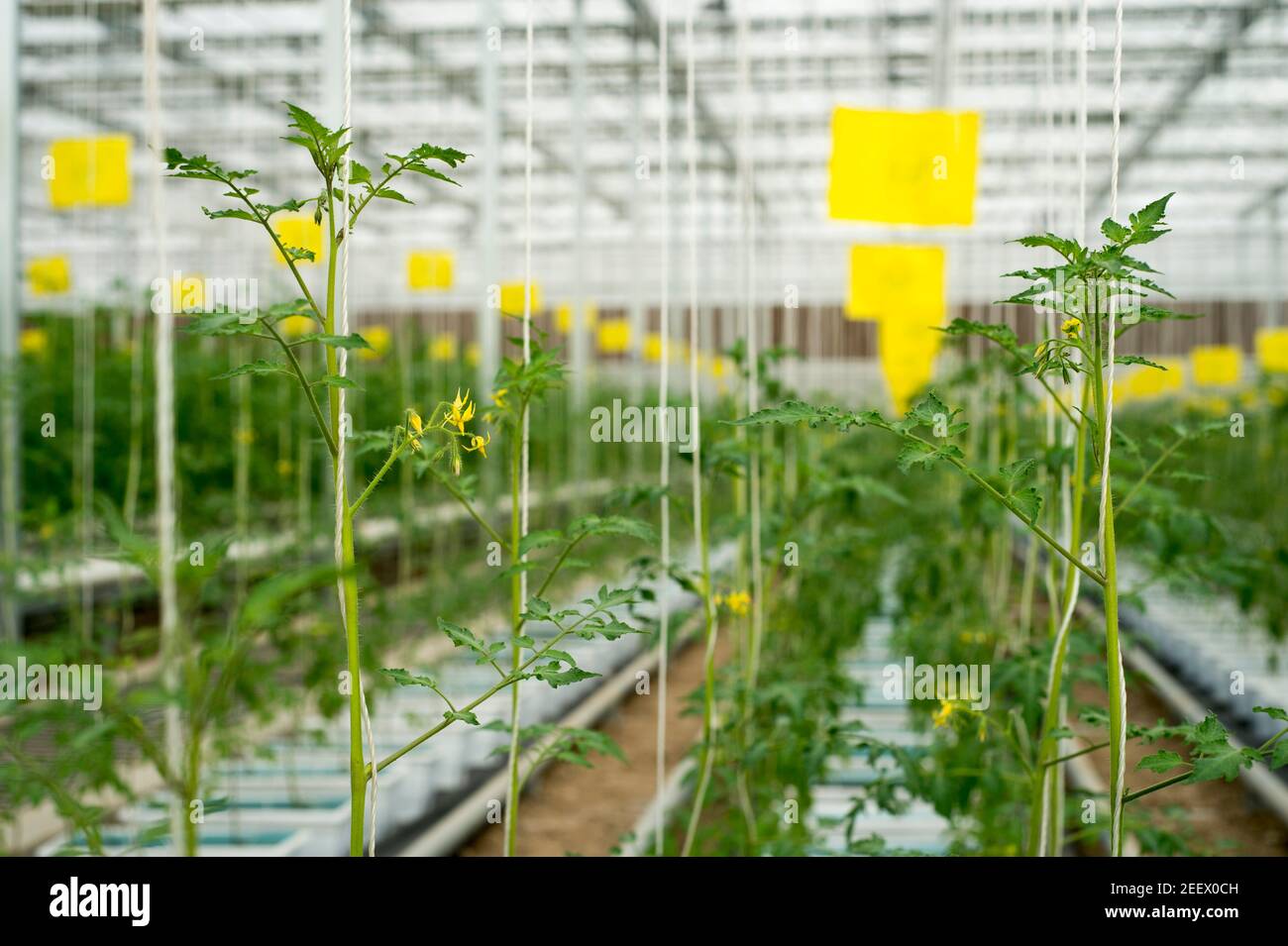 Industrial combinations hires stock photography and images Alamy