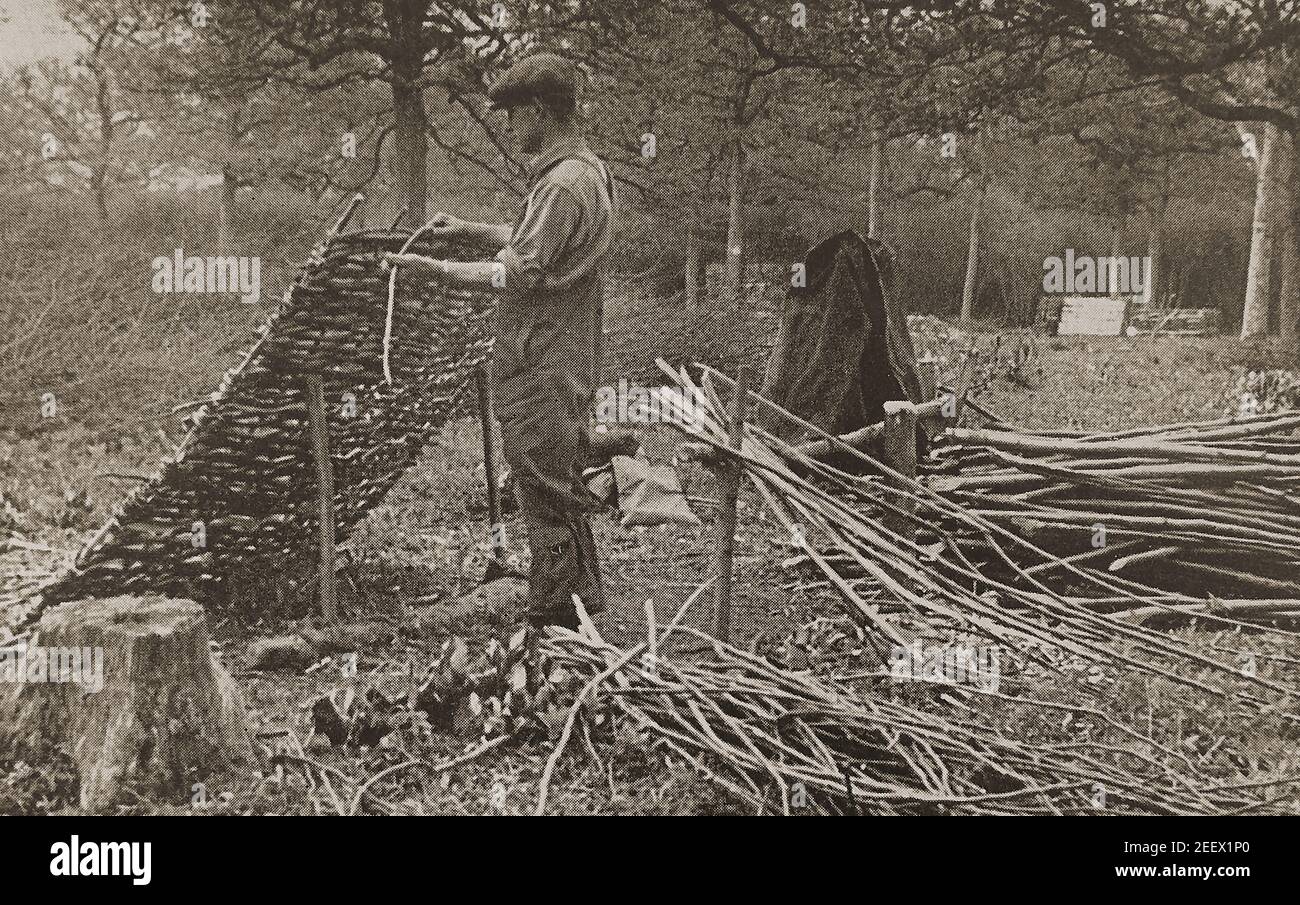 An old press photograph of a British woodland worker finishing the final rod of a hand-woven wattle hurdle ( circa 1940's)  -----. The craft of making moveable  wattle hurdles and gates to be used to section off  parts of a field etc or for use as a fence is a task that stretches way back into history. Though many farmers would make their own, woodland craftsmen did and still do  manufacture them by hand in Britain today as an occupation. Remains of  Neolithic and Iron Age  willow and hazel hurdles have been found by archaeologists in bogland areas throughout Britain Stock Photo