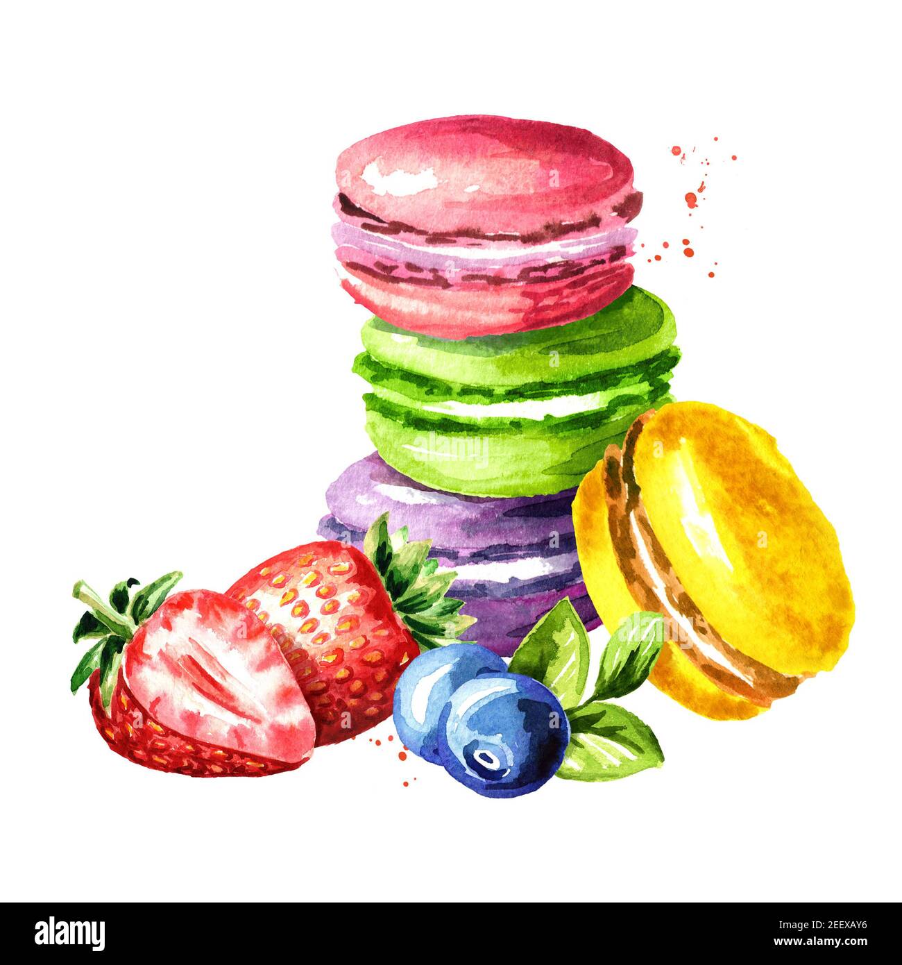 Traditional french Cake macaron or macaroon, colorful almond cookie, with blueberry and strawberry. Watercolor hand drawn illustration, isolated on wh Stock Photo