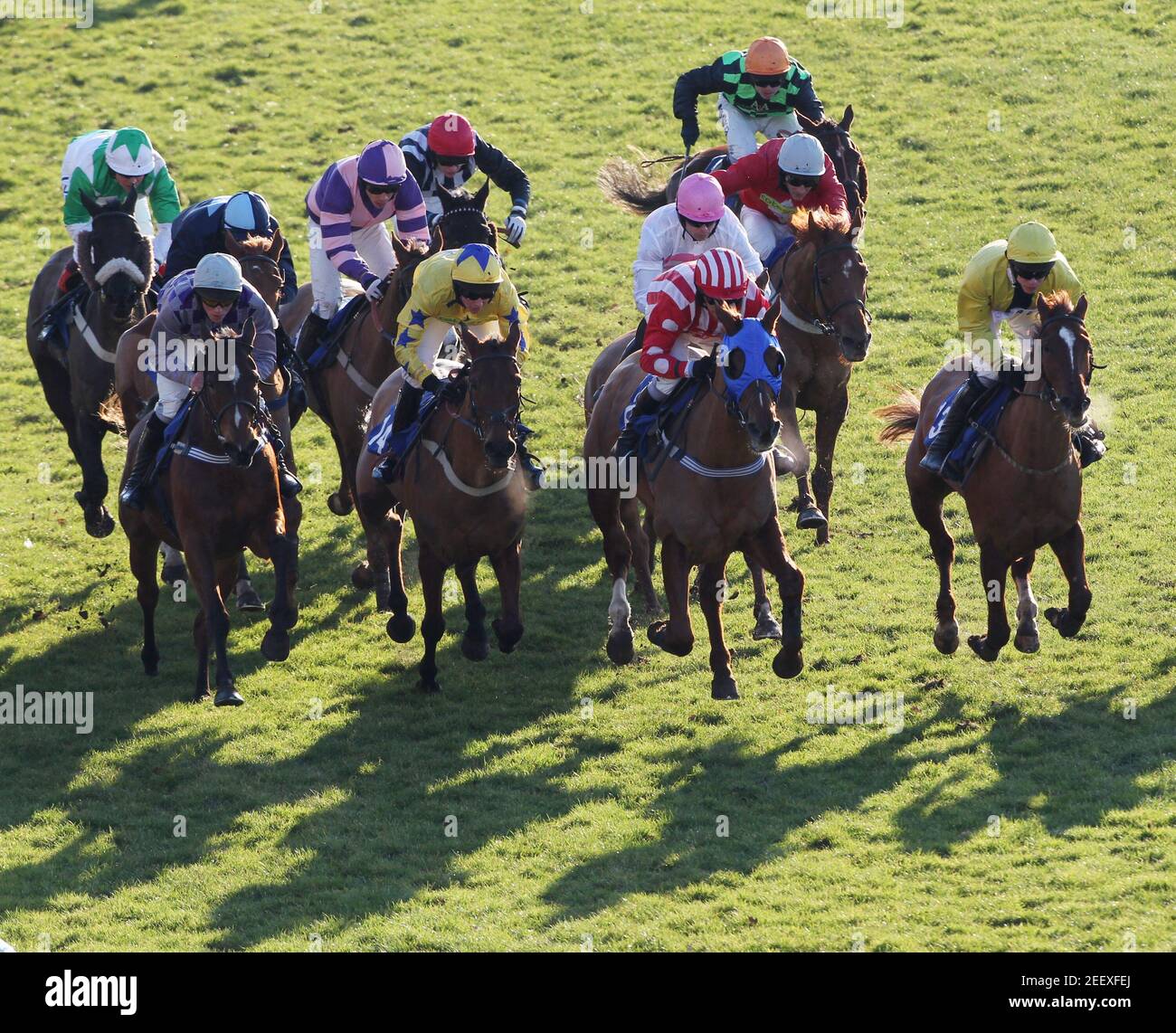 Fontwell High Resolution Stock Photography And Images Alamy