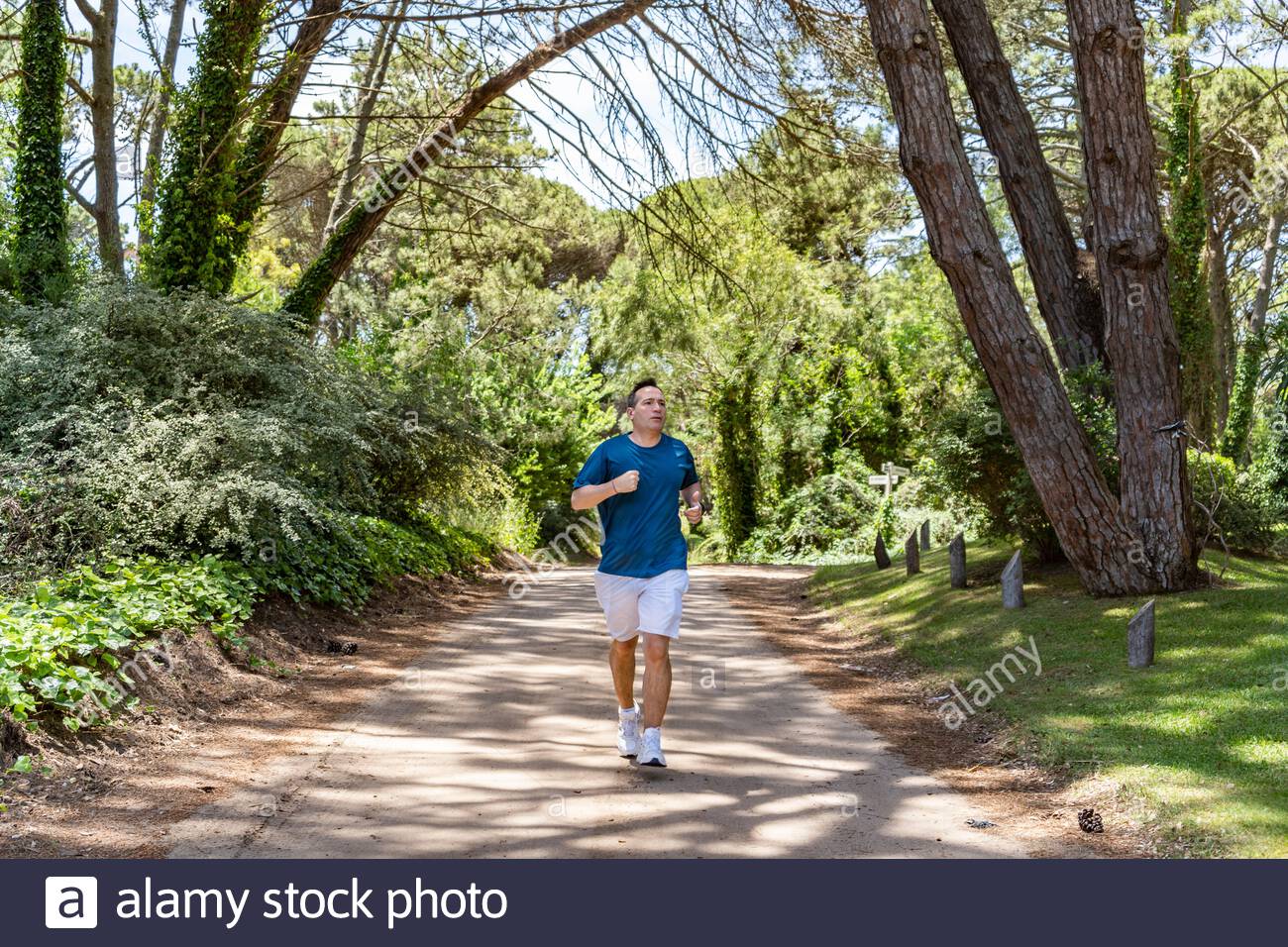 Front view of a runner running in the woods Stock Photo - Alamy