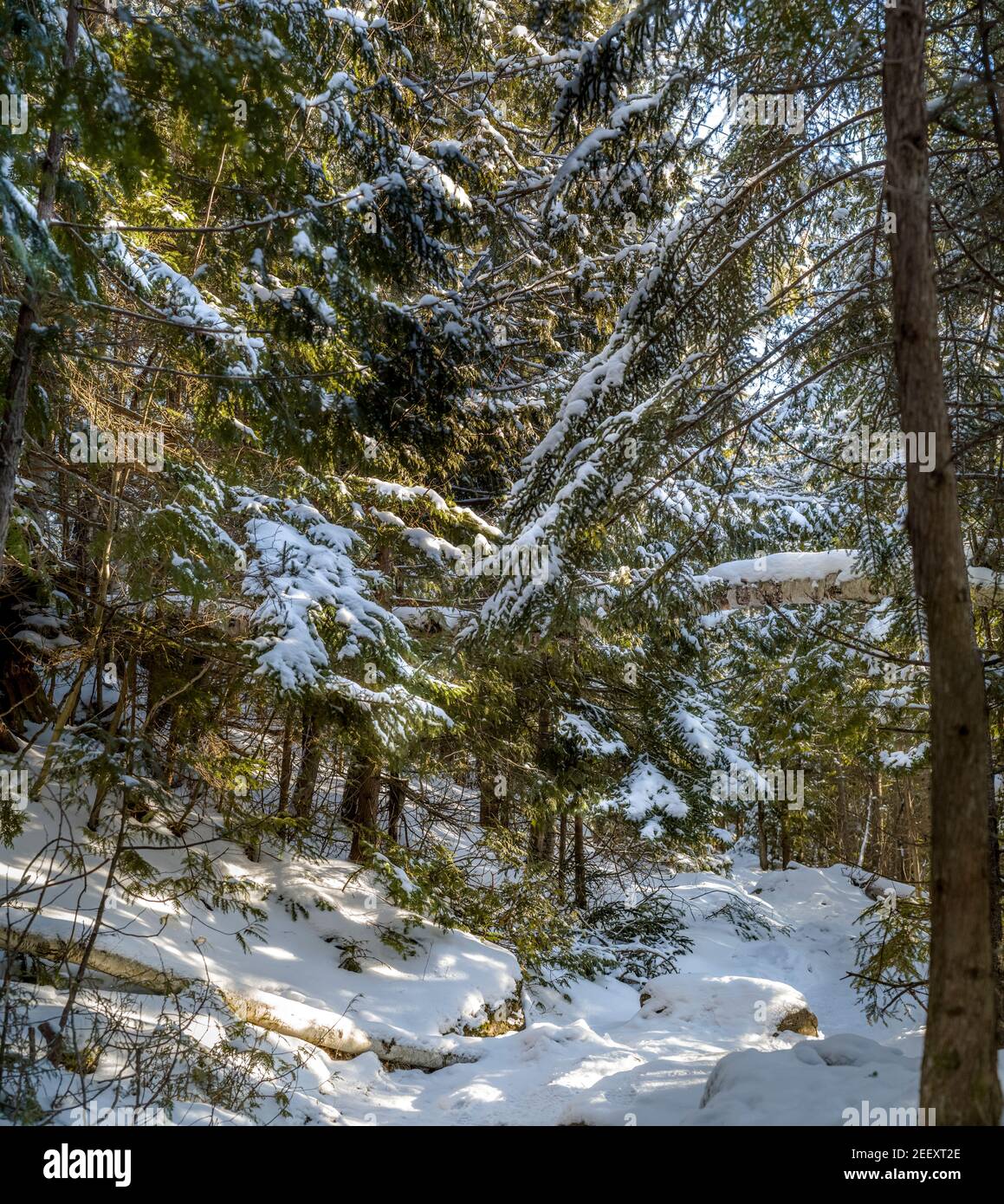 HEART LAKE ADIRONDACK LOJ LAKE PLACID ADIRONDACKS NEW YORK USA Stock