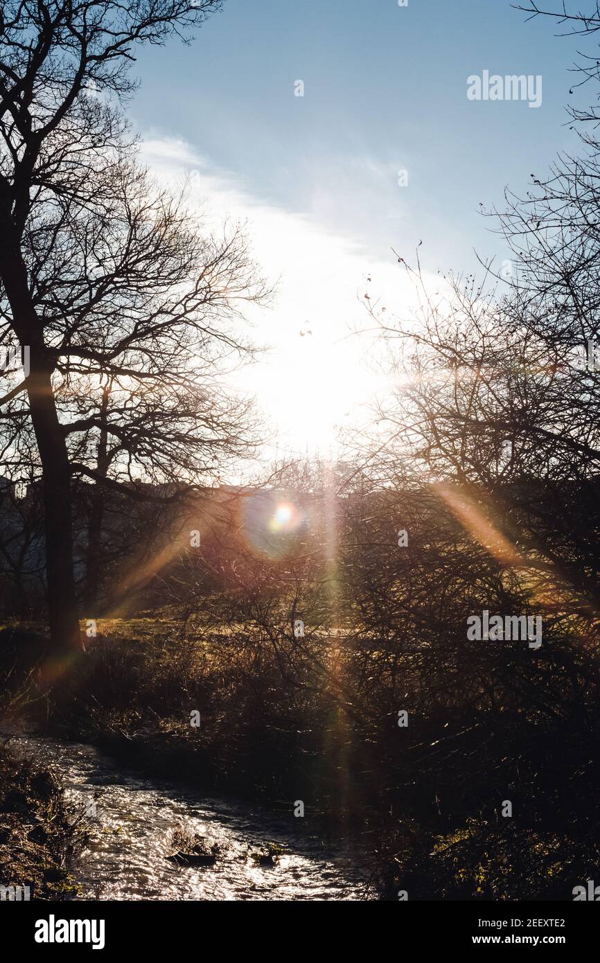 English woodlands during Winter/Autumn colours Stock Photo - Alamy